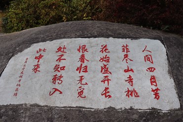 图片10.jpg